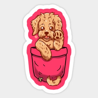 Pocket Labradoodle Puppy Sticker